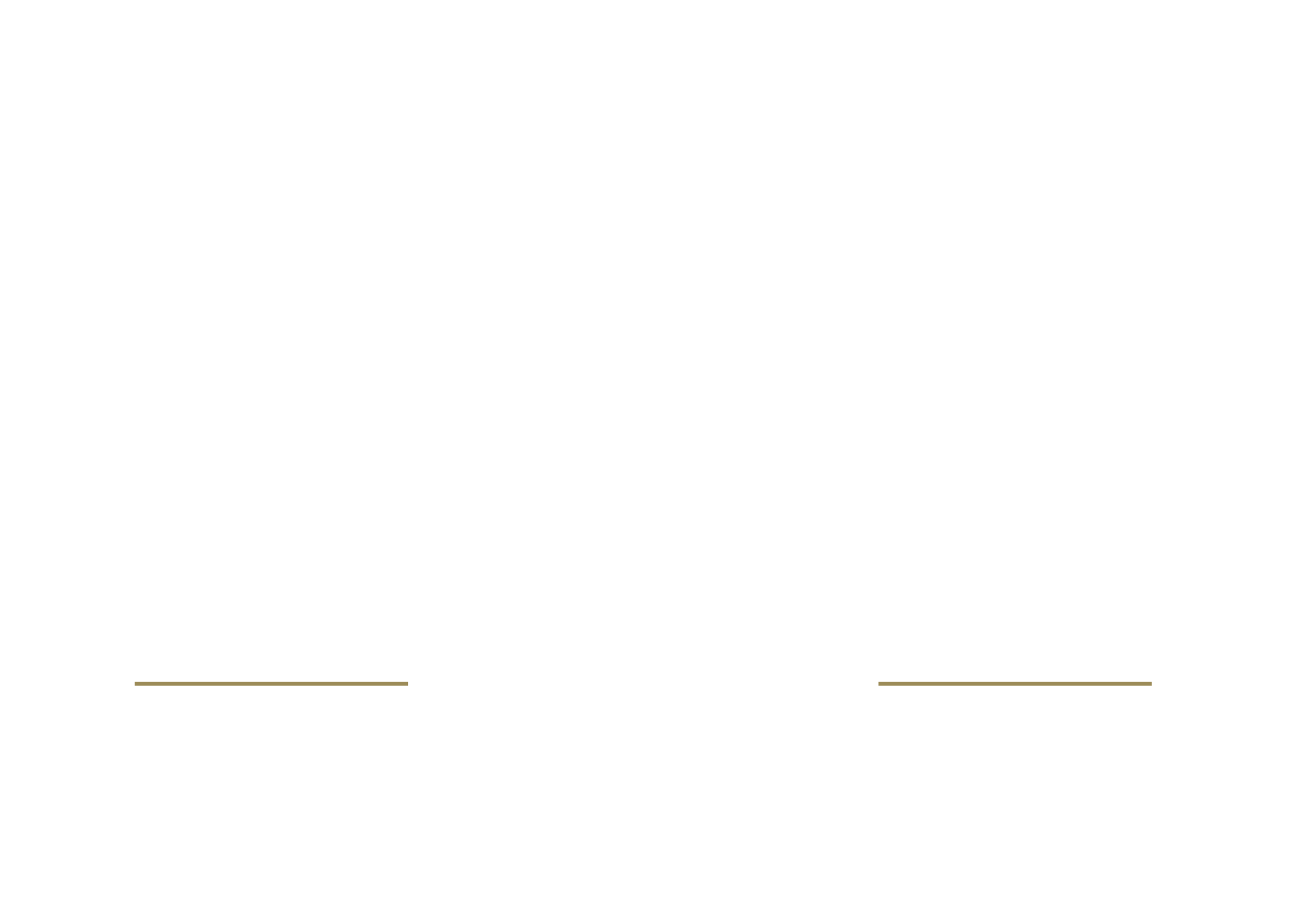 Logo Le Vivier Dorinne